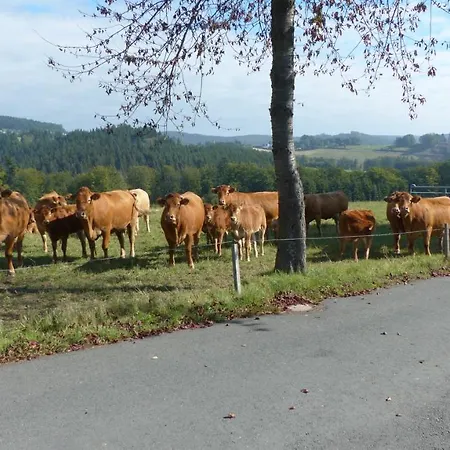 Aussichtsbauernhofpension Hof Gretchens ヴィンターベルク