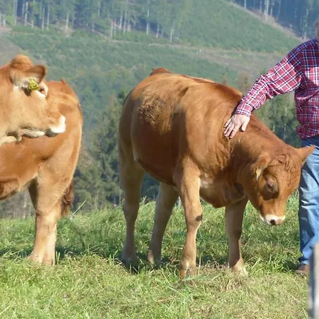 Aussichtsbauernhofpension Hof Gretchens 住宿加早餐酒店 温特贝格