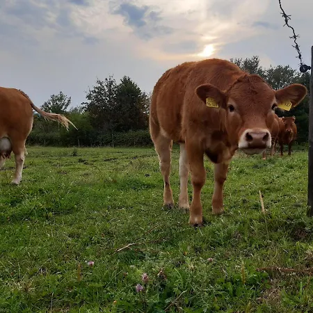 Frühstückspension Aussichtsbauernhofpension Hof Gretchens *