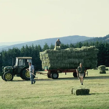 Aussichtsbauernhofpension Hof Gretchens Bed & Breakfast