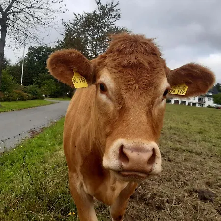 Aussichtsbauernhofpension Hof Gretchens *