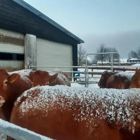 Aussichtsbauernhofpension Hof Gretchens *