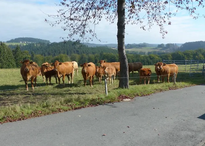 Aussichtsbauernhofpension Hof Gretchens ווינטרברג