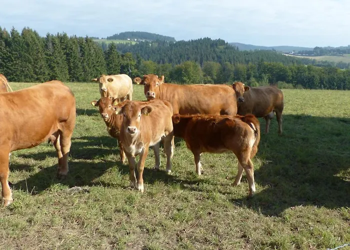 Aussichtsbauernhofpension Hof Gretchens Bed and Breakfast Βίντερμπεργκ