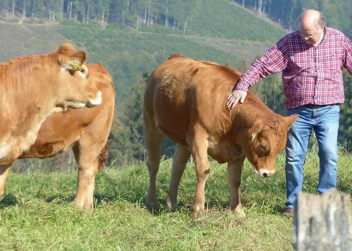 Aussichtsbauernhofpension Hof Gretchens Bed and Breakfast Βίντερμπεργκ