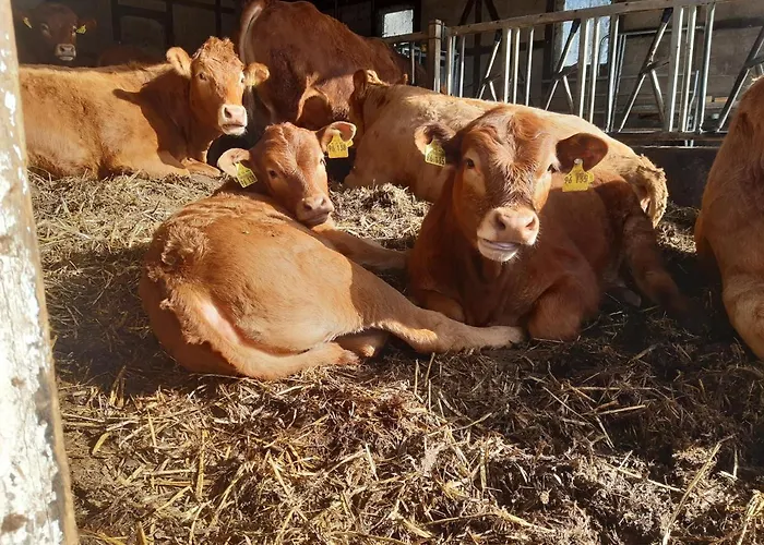 Bed & Breakfast Aussichtsbauernhofpension Hof Gretchens *