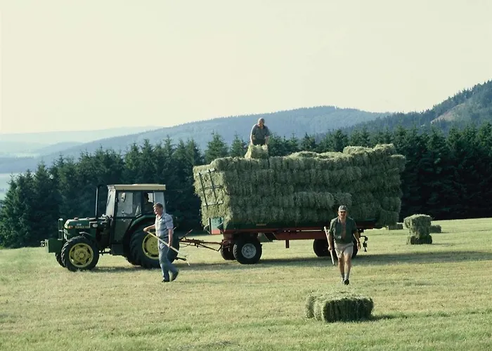 Aussichtsbauernhofpension Hof Gretchens Bed and Breakfast