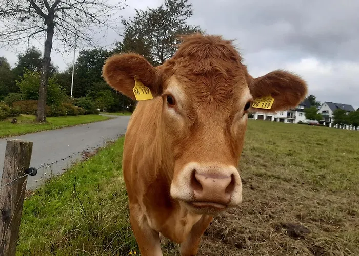 Aussichtsbauernhofpension Hof Gretchens *