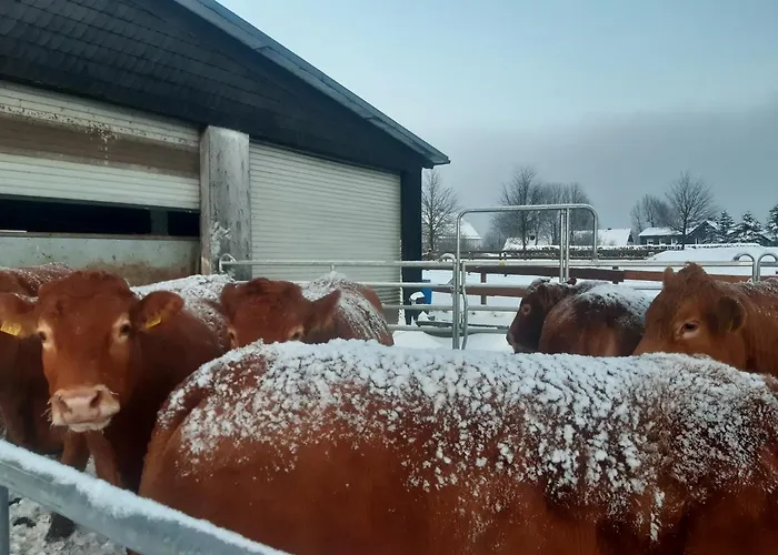 Aussichtsbauernhofpension Hof Gretchens *